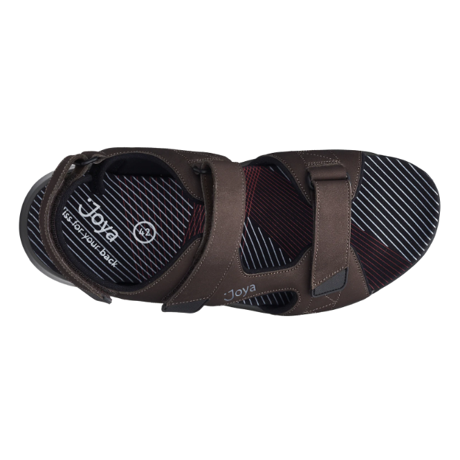 Joya Alexander, Dk Brown (Herre)