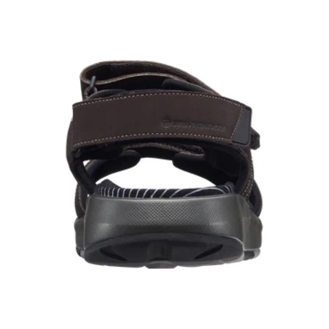 Joya Alexander, Dk Brown (Herre)